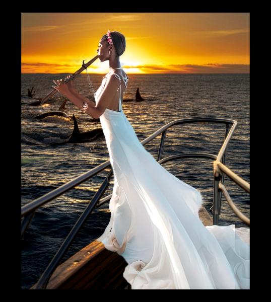 Song of the Salish Sea