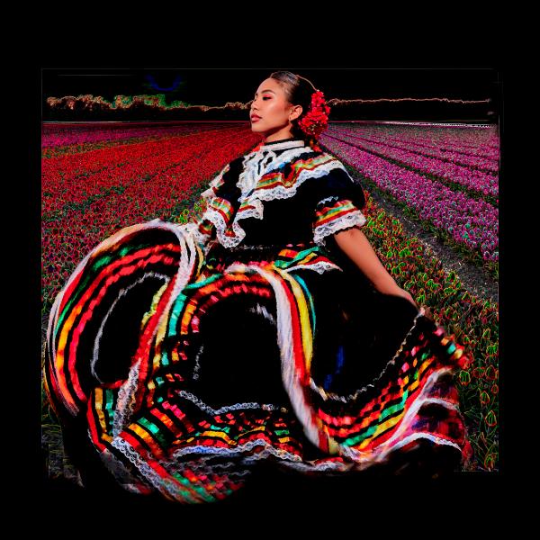 Dancing in the Tulips