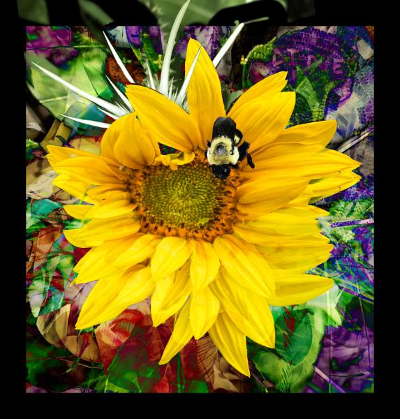 Flower and Pollinators 