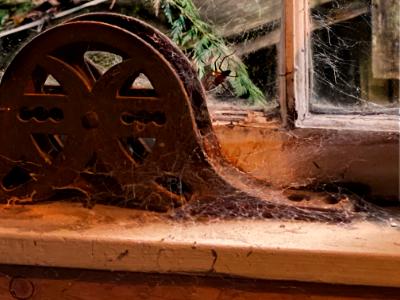 LIVING IN SKAGIT LAND TRUST