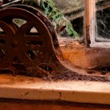 LIVING IN SKAGIT LAND TRUST